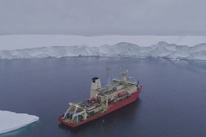 22/12/2022 Braco frente a un frente de hielo en la costa antártica POLITICA INVESTIGACIÓN Y TECNOLOGÍA ALEKSANDRA MAZUR.