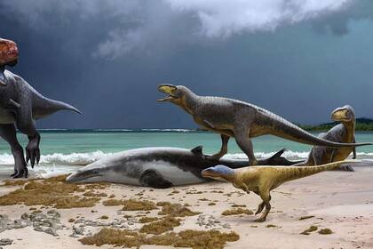 23/08/2023 Se han encontrado fósiles de varios tipos de abelisaurios que muestran la diversidad de dinosaurios en Marruecos a finales del Cretácico.. Paleontólogos han descubierto en Marruecos fósiles de primos primitivos del T. rex que tenían hocicos cortos de bulldog y brazos aún más cortos. POLITICA INVESTIGACIÓN Y TECNOLOGÍA ANDREY ATUCHIN