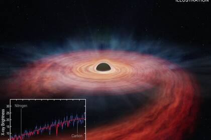 23/08/2023 Un agujero negro gigante destruye una estrella masiva. Astrónomos han realizado un estudio forense exhaustivo de una estrella que se desgarró cuando se aventuró demasiado cerca de un agujero negro y luego sus entrañas fueron arrojadas al espacio. POLITICA INVESTIGACIÓN Y TECNOLOGÍA NASA/CXC/M.WEISS
