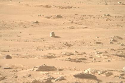 23/08/2024 Superficie marciana POLITICA INVESTIGACIÓN Y TECNOLOGÍA NASA