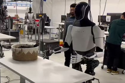 24/04/2024 El robot humanoide Optimus Gen 2 doblando una camiseta. POLITICA TESLA
