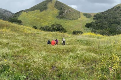 24/06/2024 Trabajo de campo para comprender los gases de efecto invernadero y las comunidades microbianas en los suelos de los pastizales de Santa Bárbara. POLITICA INVESTIGACIÓN Y TECNOLOGÍA W. FISCHER