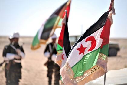 25-02-2016 Banderas de la autoproclamada República Árabe Saharaui Democrática (RASD) POLITICA MAGREB AFRICA INTERNACIONAL SÁHARA OCCIDENTAL CEDIDA POR EL FRENTE POLISARIO