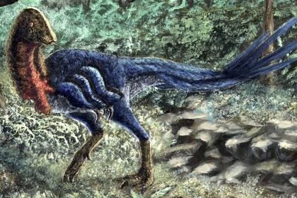 25/01/2024 Representación de una nueva especie de dinosaurio, Eoneophron infernalis, que se traduce como el pollo del amanecer del faraón.. Una nueva especie de dinosaurio con plumas de la familia de los cenagnátidos ha sido identificada al estudiar fósiles que habían sido atribuidos a un ejemplar joven de otra especie. POLITICA INVESTIGACIÓN Y TECNOLOGÍA ZUBIN ERIK DUTTA.