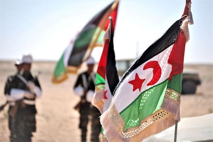 25/02/2016 Banderas de la autoproclamada República Árabe Saharaui Democrática (RASD) POLITICA MAGREB AFRICA INTERNACIONAL SÁHARA OCCIDENTAL CEDIDA POR EL FRENTE POLISARIO