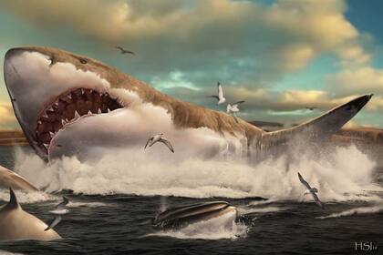 25/11/2020 Reconstrucción del megalodon por Hugo Salais (Metazoa Studio) POLITICA ESPAÑA EUROPA COMUNIDAD VALENCIANA SOCIEDAD HUGO SALAIS (METAZOA STUDIO)