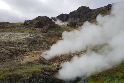 26/02/2024 Los pastizales subárticos experimentan un calentamiento geotérmico natural en Islandia POLITICA INVESTIGACIÓN Y TECNOLOGÍA CHRISTINA KAISER