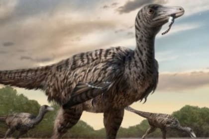 26/04/2024 Huellas de un velociraptor de cinco metros descubiertas en China. Científicos han descubierto las huellas de un dinosaurio velociraptor de cinco metros de largo, desafiando lo que se sabía anteriormente sobre el rango de tamaño de la especie. POLITICA INVESTIGACIÓN Y TECNOLOGÍA YINGLIANG.