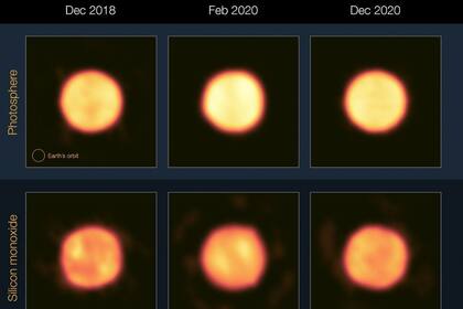 26/10/2023 La estrella gigante Betelgeuse no está a punto de explotar. Astrónomos han atribuido al efecto de nubes de polvo o una mancha fría el gran evento de oscurecimiento que registró la estrella supergigante roja Betelgeuse hace cuatro años. POLITICA INVESTIGACIÓN Y TECNOLOGÍA ESO/J. DREVON ET AL.
