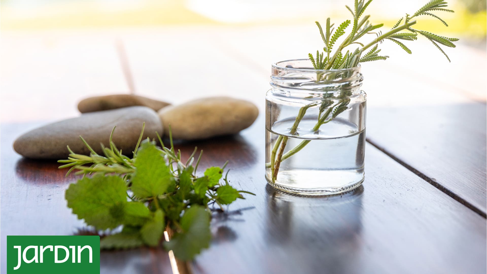 El secreto del agua oxigenada para que tus plantas crezcan más rápido