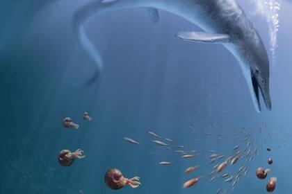 27-12-2021 Una recreación de la vida de C. Youngorum acechando los océanos del Triásico Tardío hace 246 millones de años. POLITICA INVESTIGACIÓN Y TECNOLOGÍA NHM LOS ÁNGELES COUNTY