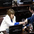 Patricia Bullrich apoyó el dictamen a jueces vetados por Karina Milei