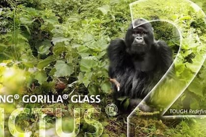 27/01/2023 Gorilla Glass Victus 2.  Corning ha confirmado que los nuevos integrantes de la serie S de Samsung, Galaxy S23, estarán equipados con su nueva generación de vidrios protectores para dispositivos móviles Gorilla Glass Victus 2.  POLITICA INVESTIGACIÓN Y TECNOLOGÍA CORNING