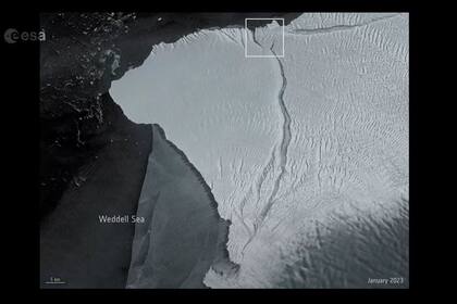 27/01/2023 Nuevo iceberg A81, captado desde el espacio POLITICA INVESTIGACIÓN Y TECNOLOGÍA ESA