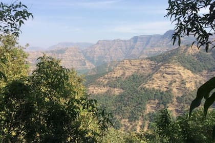 28/11/2023 Trampas de Deccan POLITICA INVESTIGACIÓN Y TECNOLOGÍA UNIVERSIDAD MC GILL