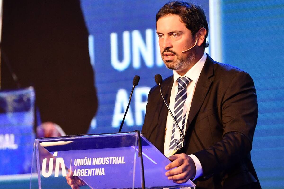 29 Conferencia Industrial; Unión Industrial Argentina; economía; Comunidad de negocios;Miguel Zonnaras