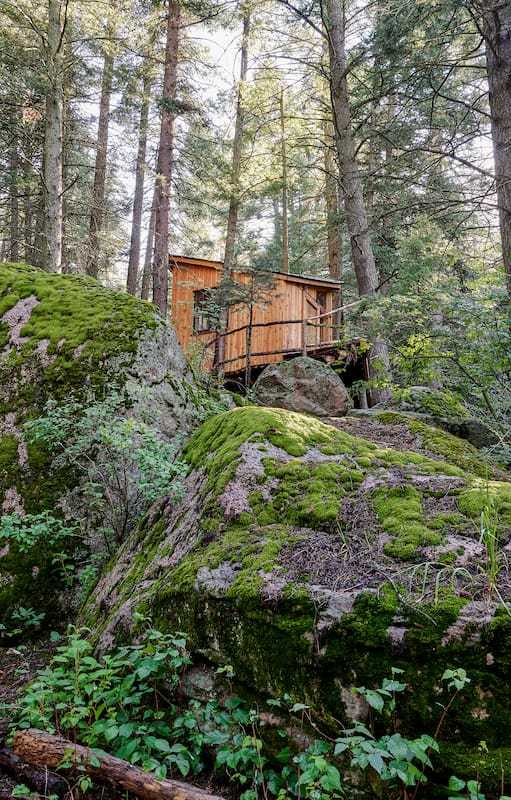 Una diseñadora argentina proyectó una “casa del árbol” para adultos en las montañas de Colorado