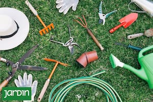 Las tareas básicas para preparar bien el jardín