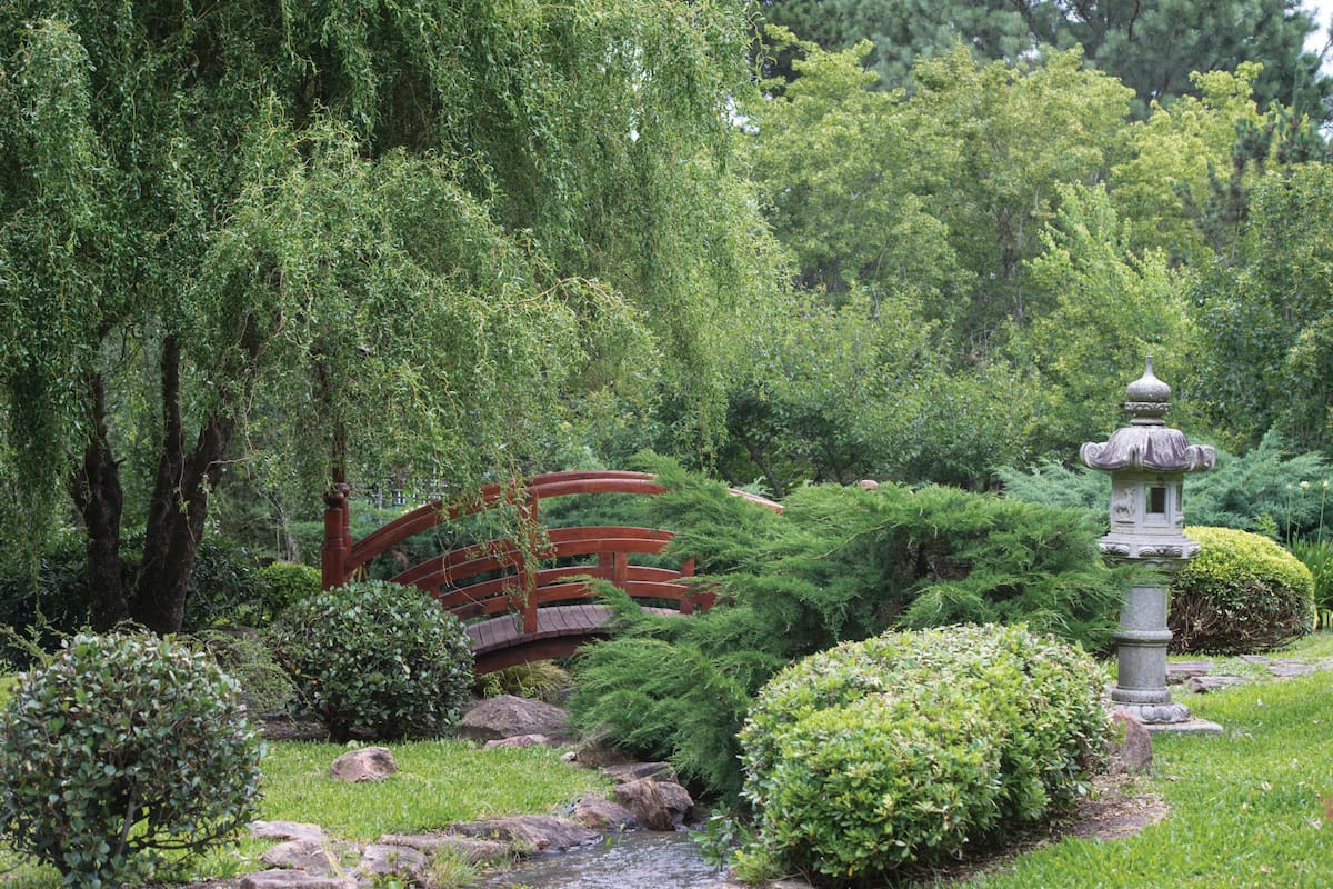 Cascadas, senderos y puentes marcan el carácter de un jardín de estilo japonés diseñado para la contemplación y el paseo