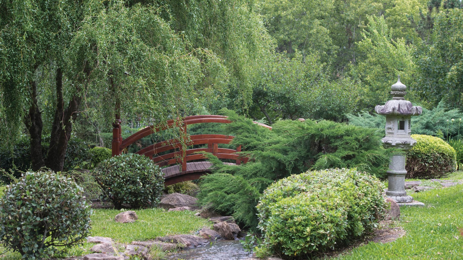 Cascadas, senderos y puentes marcan el carácter de un jardín de estilo japonés diseñado para la contemplación y el paseo