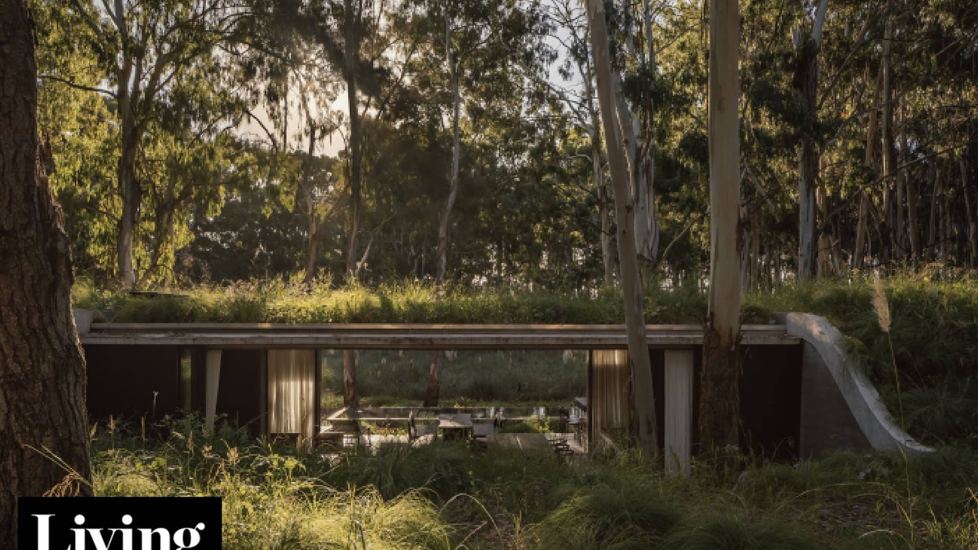 En Costa Esmeralda, esta casa semienterrada en una duna tiene grandes vistas al bosque desde adentro