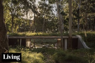 Semienterrada en una duna, esta casa escondida tiene grandes vistas al bosque desde adentro.