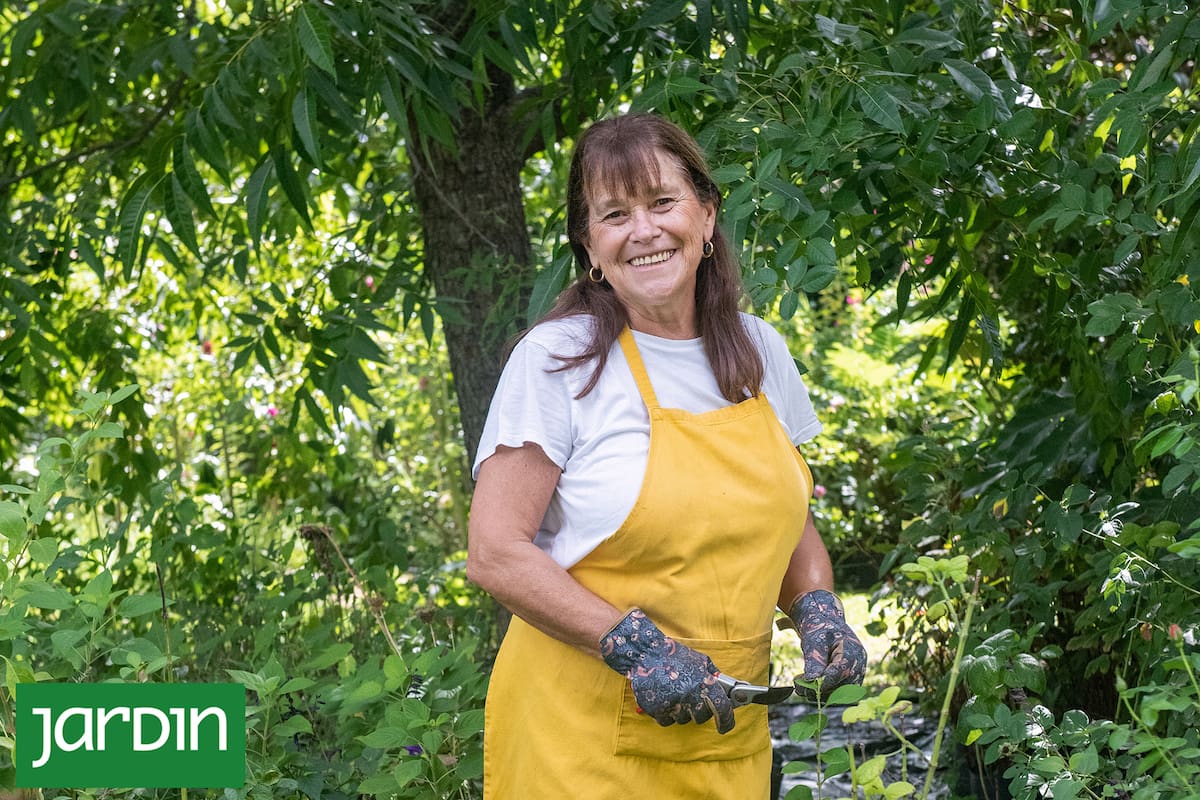 El ABC de la jardinería de otoño: cómo sembrar y multiplicar nuestras plantas en esta época
