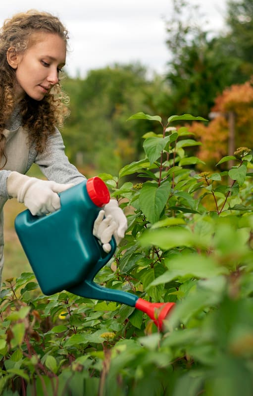 En pocos pasos, la receta infalible de las abuelas para preparar fertilizante casero para plantas