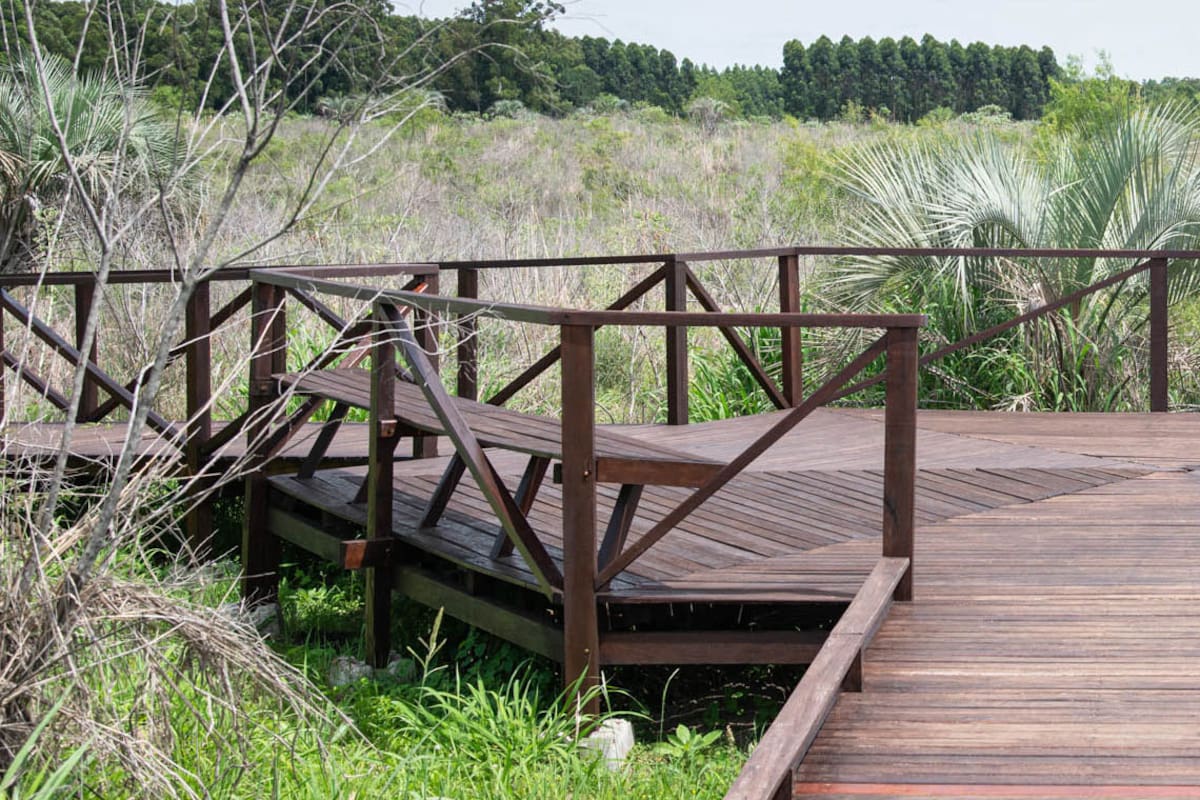 En Salto Grande, un ecoparque para la restauración ambiental y la recreación