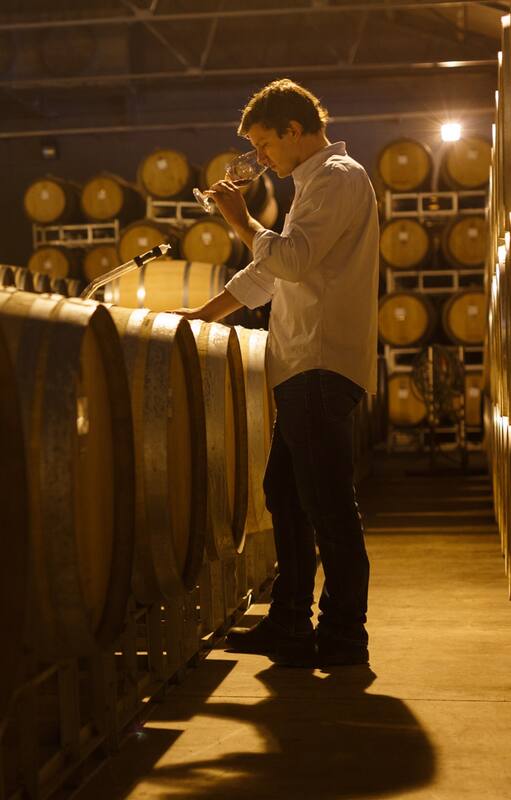 Vinos de altura con uvas de alta calidad. Viticultura de precisión, filosofía de mínima intervención y experiencia enoturística de lujo