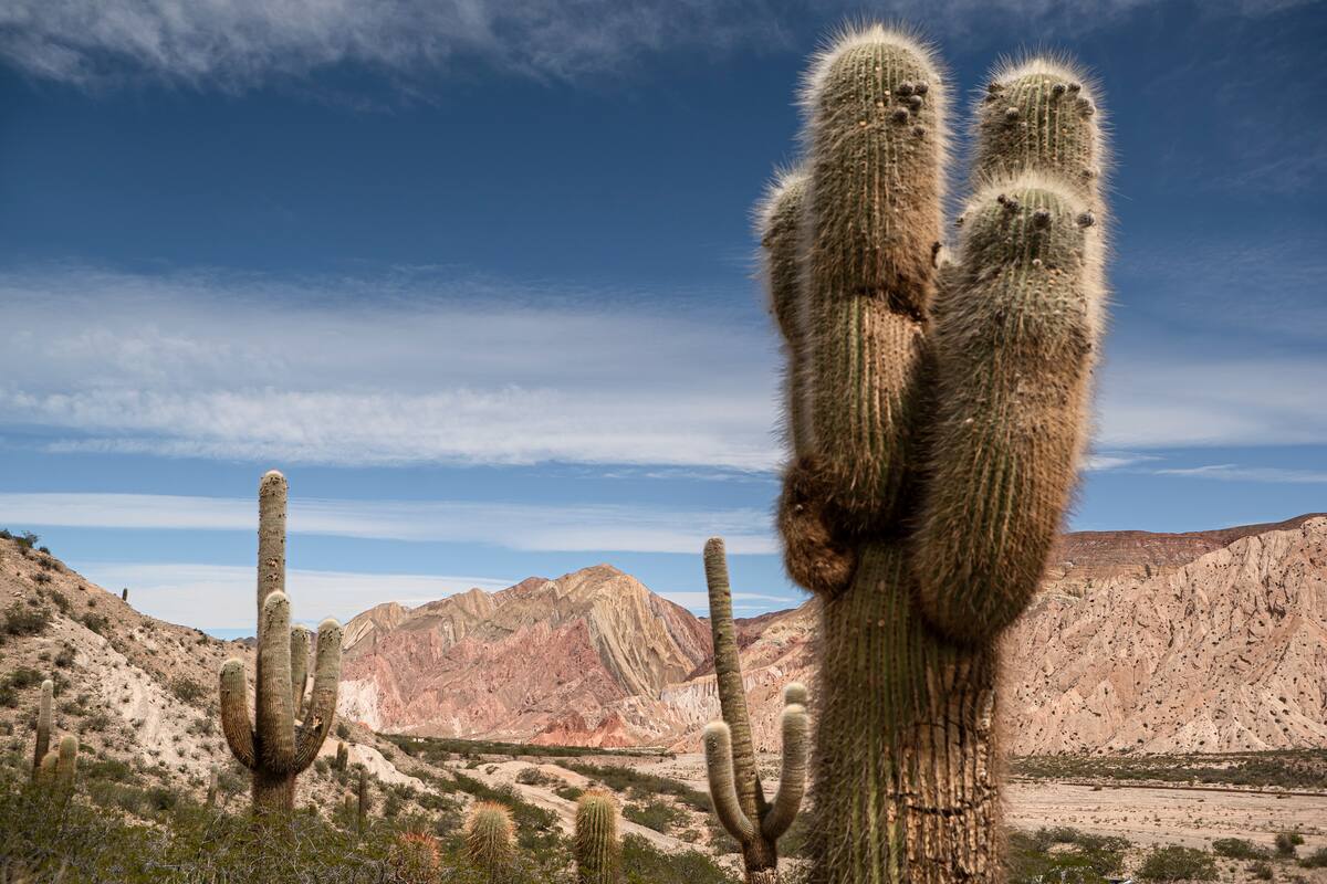 Salta: claves para no dejar ningún imperdible afuera