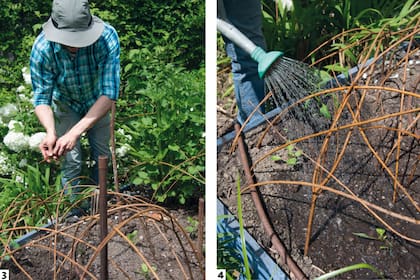 3. Formar un entramado que abarque todas las plantas, teniendo cuidado de no dañar sus raíces. 4. Este tipo de tutor durará una temporada. Es ideal para especies anuales o las perennes con comportamiento muy estacional, como las dalias que desaparecen en invierno.