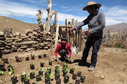 30 alumnos de nivel primario asisten a la Escuela Albergue El Rosal, ubicada en la Quebrada del Toro