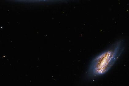 30/05/2022 Hubble captura un par de espirales formadoras de estrellas.  Esta nueva imagen del Telescopio Espacial Hubble observa dos galaxias espirales, conocidas colectivamente como Arp 303, a 275 millones de años luz en la dirección de la constelación Sextans.  POLITICA INVESTIGACIÓN Y TECNOLOGÍA NASA, ESA, K. LARSON (STSCI), AND J. DALCANTON