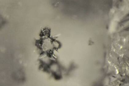 30/10/2023 Diamantes iluminan el crecimiento del supercontinente Gondwana. Diamantes formados a entre 300 y 700 km de profundidad han permitido rastrear la evolución del antiguo supercontinente de Gondwana, detectando un proceso geológico desconocido. POLITICA INVESTIGACIÓN Y TECNOLOGÍA MARGO REGIER