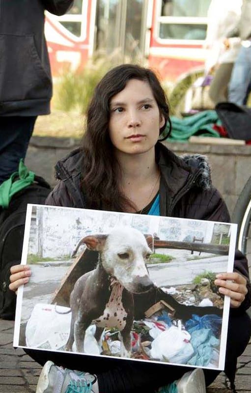 ¿Se pueden testear productos y medicamentos sin usar animales?