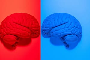 Qué quieren decir los términos ultraizquierda y ultraderecha (y cómo se usan en la actualidad)