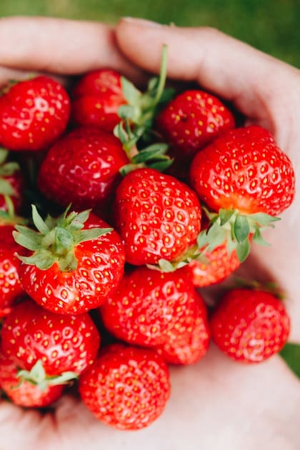 Temporada de frutillas: 10 formas originales de incorporarlas a las recetas de todos los días