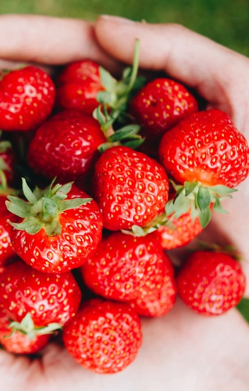Temporada de frutillas: 10 formas originales de incorporarlas a las recetas de todos los días