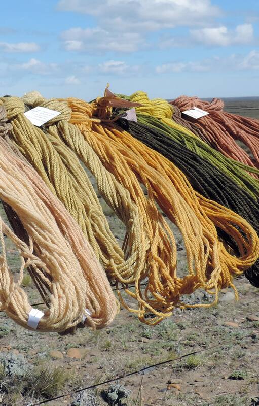 Tintes naturales de la estepa patagónica: qué plantas se utilizan para esta tarea ancestral