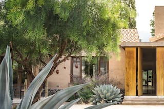 Con cactus y suculentas, un jardín diseñado para resistir condiciones extremas