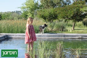 Crearon su jardín con un concepto productivo, regenerativo y experimental