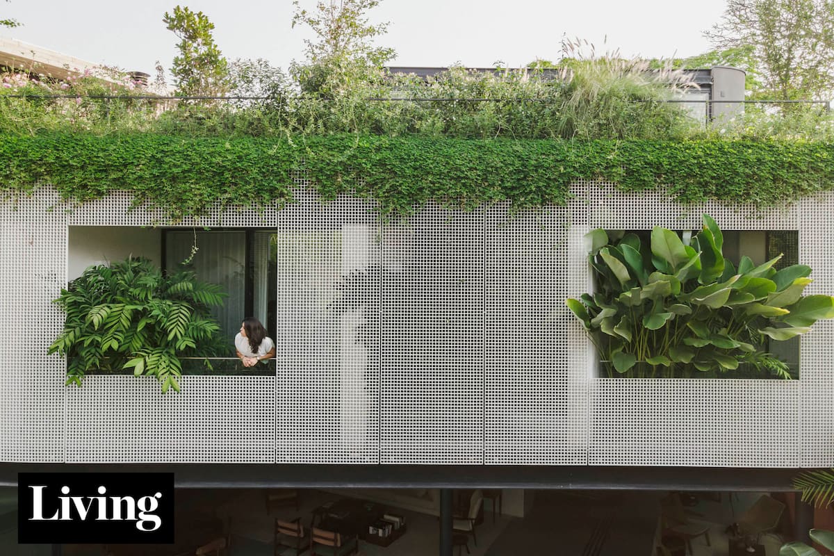 Una casa con celosía árabe se convirtió en un oasis urbano que combina naturaleza y diseño