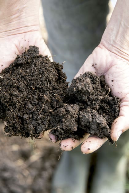 Compost: todo lo que tenés que saber para lograr tu propio abono orgánico
