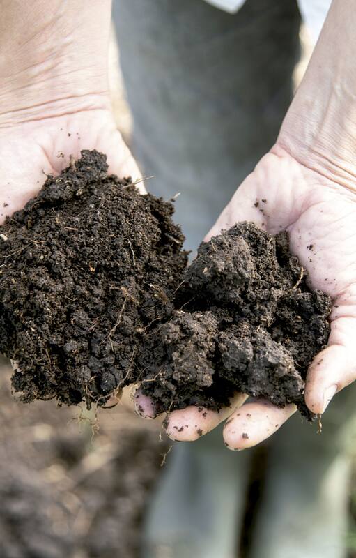 Compost: todo lo que tenés que saber para lograr tu propio abono orgánico