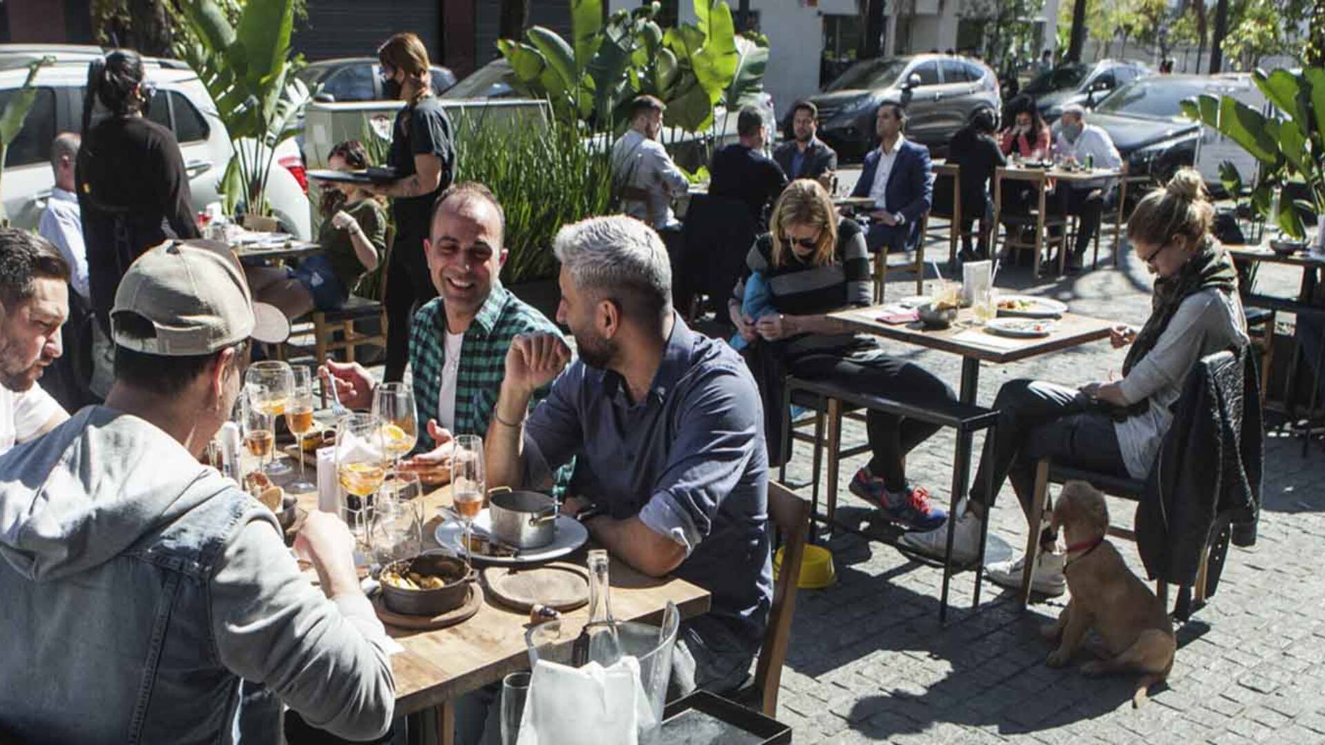 Gastronomía. Patios y veredas con protocolo para comer y beber