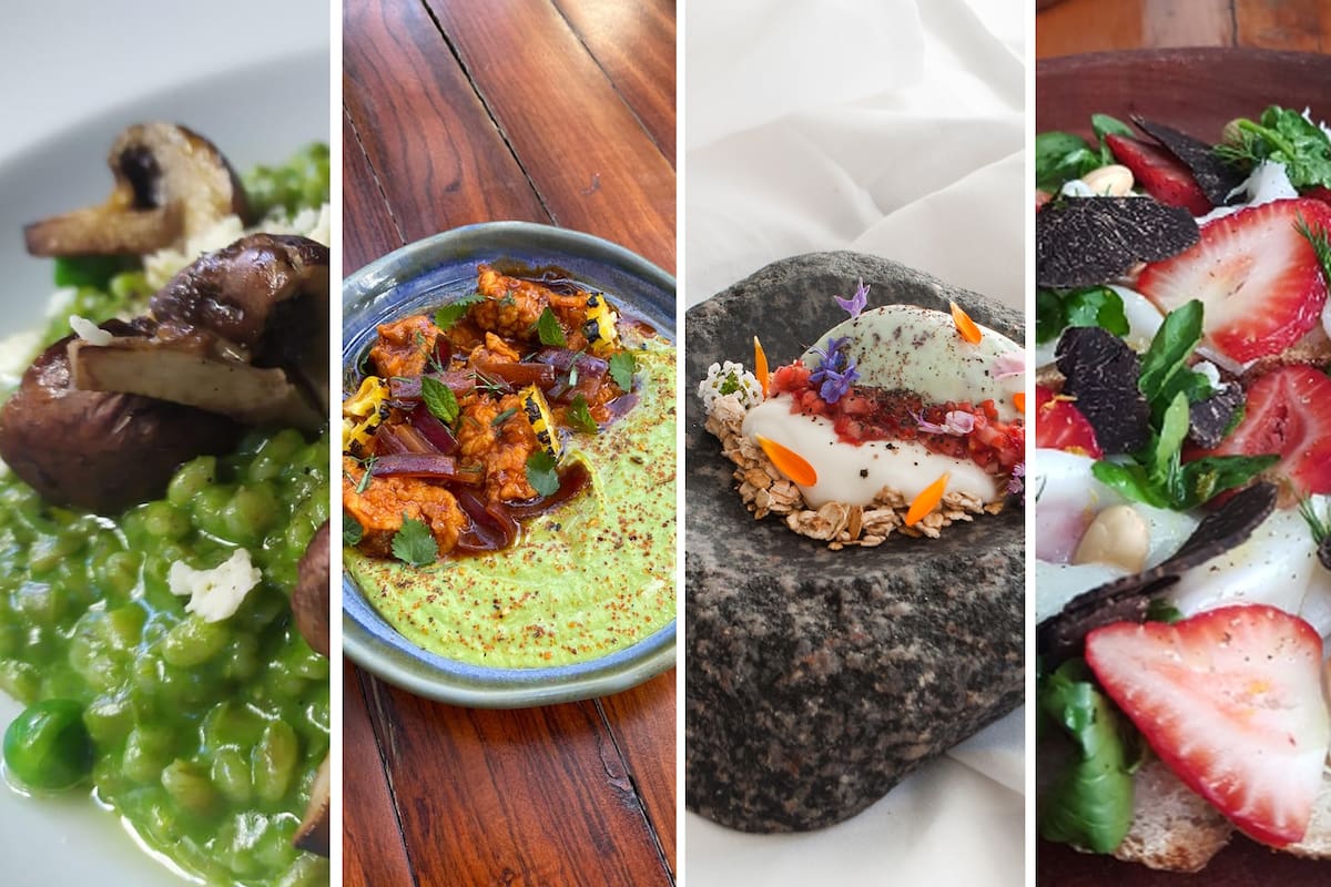 4 de los platos preparados para Mesa de Estación con cebada, arvejas, queso de cabra y frutillas