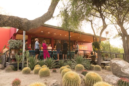 400 especies de cactus y la bodega, dos puntos altos de la posada.