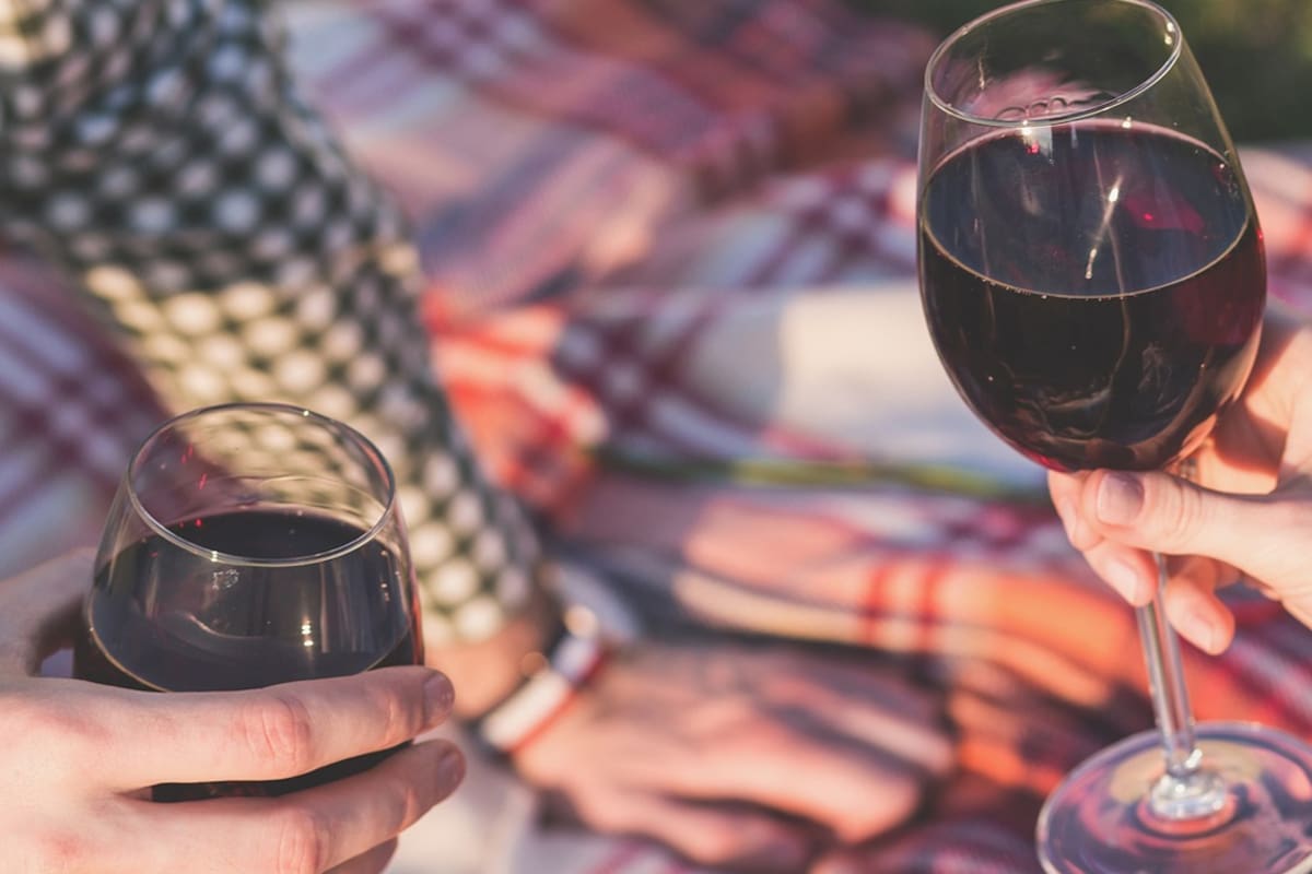 Tintos de sed: 13 etiquetas para descubrir la moda de los vinos ligeros