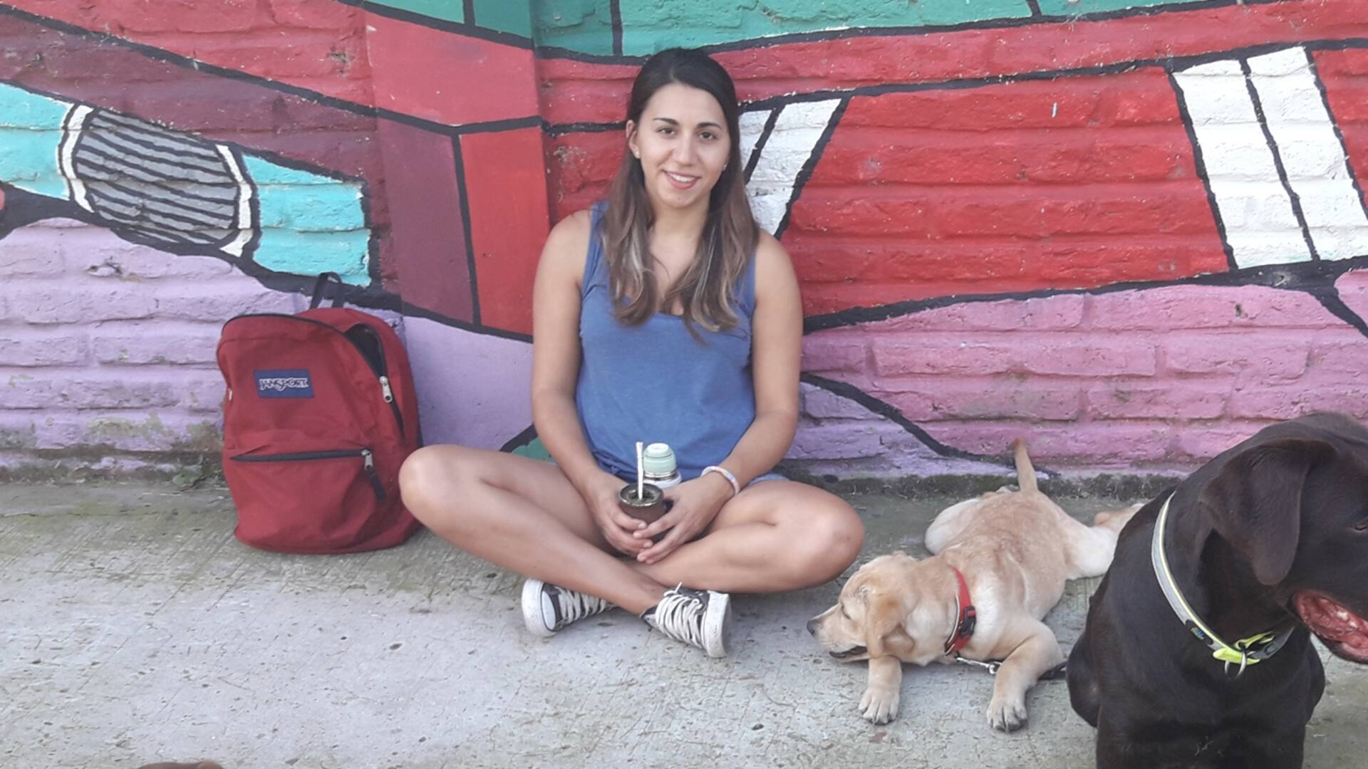 Labradora rebelde. No podía pasear con su perro hasta que comprendió por qué